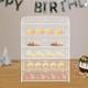 5-Layer Clear Acrylic Display Case Dustproof Toys Showcase Holder Storage Shelf