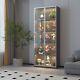 5-Shelf 2 Doors Metal Glass Display Storage Curio Cabinet Bookshelf Trophy Case