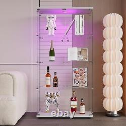 64.7 LED lights Glass Display Cabinet 4 Shelves with Door, 2-Doors Display Case