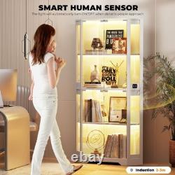 65 Corner Display Cabinet 4-Tier Lighted Curio Display Case for Collectibles