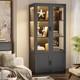 BROTTAR Transparent Display Cabinet Cupboard with Storage Case, 3-Color Lights