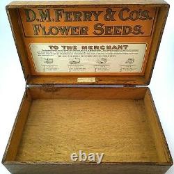 C. 1906 DM Ferry & Co Mercantile Flower Seed Box Oak Store Counter Display Case