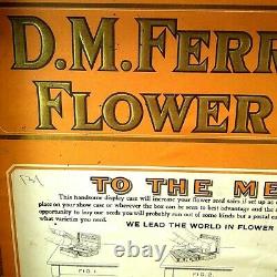 C. 1906 DM Ferry & Co Mercantile Flower Seed Box Oak Store Counter Display Case