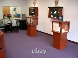 DISPLAY CASES Store Retail Commercial Glass Showcase. Complete store display
