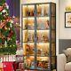 Display Cabinet with Acrylic Door 5-Layer Storage Rack for Collectibles