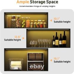 Figure Display Case 4 Tier RGB LED Light Adjustable Shelf Car Toy Glass Cabinet