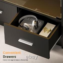 Figure Display Case 4 Tier RGB LED Light Adjustable Shelf Car Toy Glass Cabinet