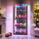 Gurexl Glass Display Cabinet with RGB Lights- 68 Display Case with 4-Tier Shelf