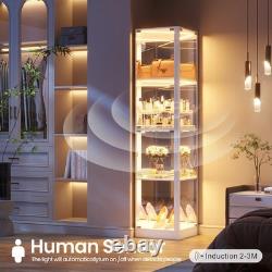 Gurexl Glass Display Cabinet with RGB Lights, Display Case with 4-Tier Shelfs