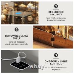 Gurexl Glass Display Cases with Human Sensor and 3 Color Lights for Collectibles