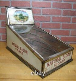 NATURAL BLOOM CIGARS Old Cigar Store Display Case Tin Litho Sign PROPERTY OF