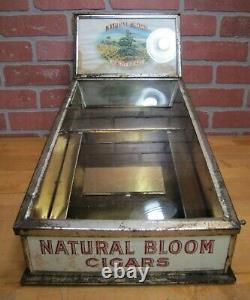 NATURAL BLOOM CIGARS Old Cigar Store Display Case Tin Litho Sign PROPERTY OF