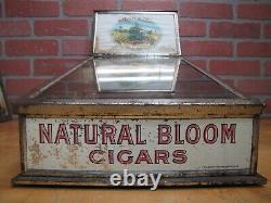 NATURAL BLOOM CIGARS Old Cigar Store Display Case Tin Litho Sign PROPERTY OF