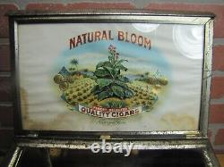 NATURAL BLOOM CIGARS Old Cigar Store Display Case Tin Litho Sign PROPERTY OF