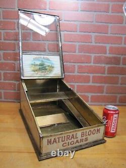 NATURAL BLOOM CIGARS Old Cigar Store Display Case Tin Litho Sign PROPERTY OF