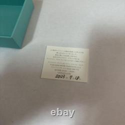Tiffany Case and box for bracelet Display Storage Empty mzmr