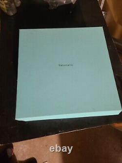 Tiffany & Co. Sunglasses & Eyeglasses Display Show & Storage Case, Box