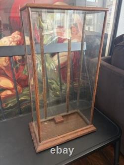 Vtg Countertop Showcase General Store Display Wood Framed Glass Case Taxidermy