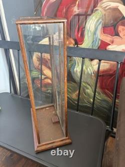 Vtg Countertop Showcase General Store Display Wood Framed Glass Case Taxidermy