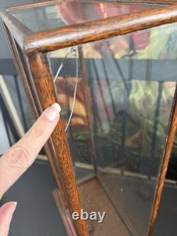 Vtg Countertop Showcase General Store Display Wood Framed Glass Case Taxidermy
