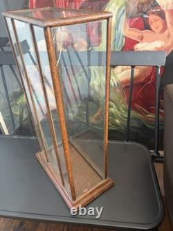 Vtg Countertop Showcase General Store Display Wood Framed Glass Case Taxidermy