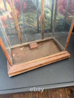 Vtg Countertop Showcase General Store Display Wood Framed Glass Case Taxidermy