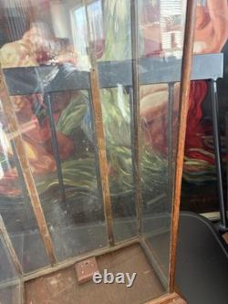 Vtg Countertop Showcase General Store Display Wood Framed Glass Case Taxidermy