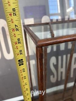 Vtg Countertop Showcase General Store Display Wood Framed Glass Case Taxidermy