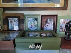 Watch Display Case 10 Slot Green & Tan Suede Organizer Storage Glass Lid Men Box